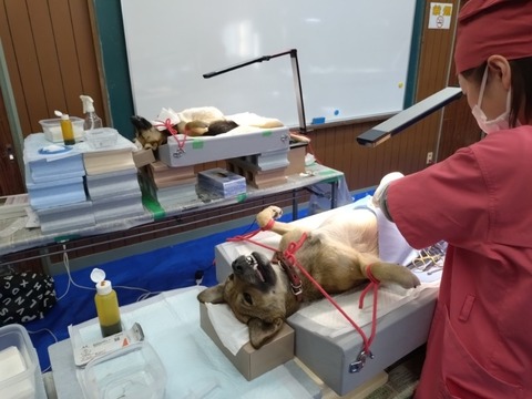 20251216_124934_copy_800x600