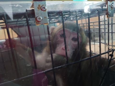 DSC_1844_copy_800x600