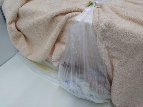 20240808_093815_copy_800x600