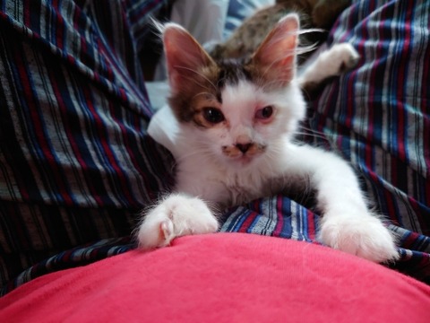 20221010_145924_copy_800x600