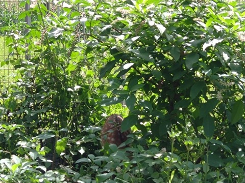 20260818_095346_copy_800x600