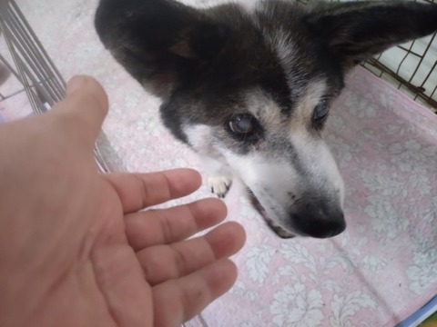 20260123_091842_copy_800x600