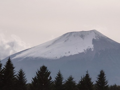 DSC_0981_copy_800x600