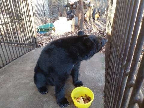 20231226_080633_copy_800x600