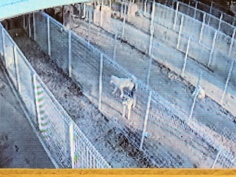 20260103_080617~2_copy_816x612