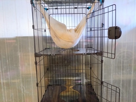 20260222_073623~2_copy_800x600