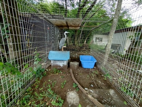 20240810_150820~2_copy_800x600