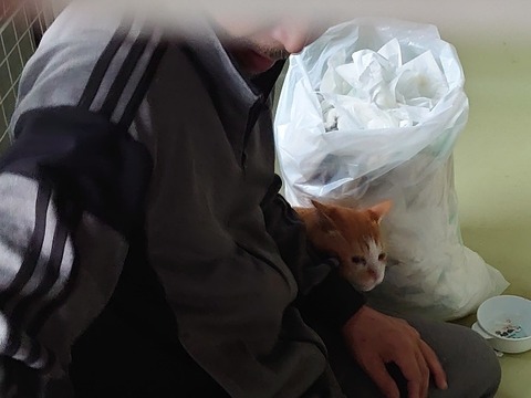 DSC_1694_copy_800x600