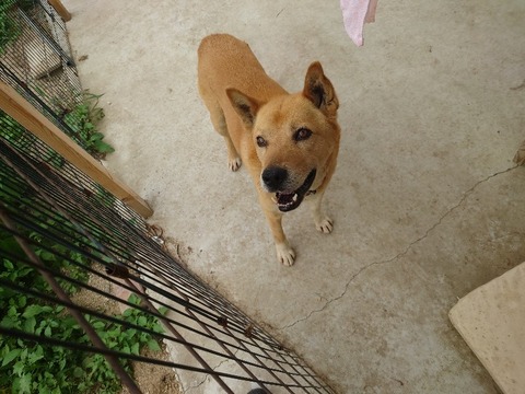 20230606_140626_copy_800x600