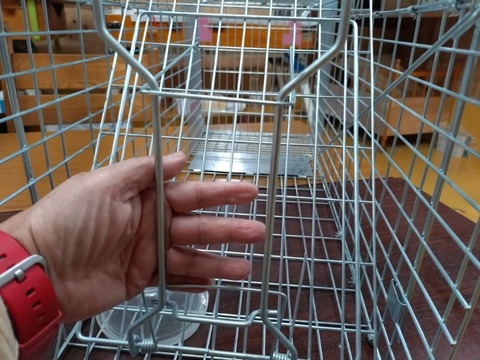 20251228_135558_copy_800x600