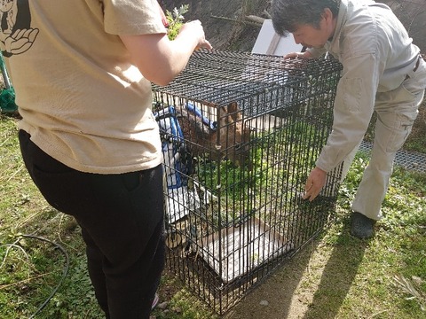 DSC_1557_copy_800x600