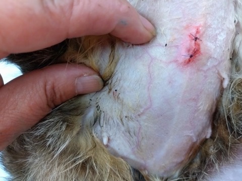 20251221_103427_copy_800x600