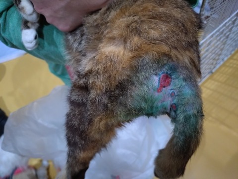 20251211_192110_copy_800x600