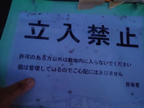 DSC_0037_copy_800x600