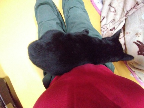 DSC_0000_BURST20260109174231523_COVER_copy_816x612