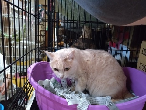 20251219_082818_copy_800x600