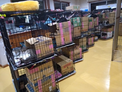 20251019_183814_copy_800x600