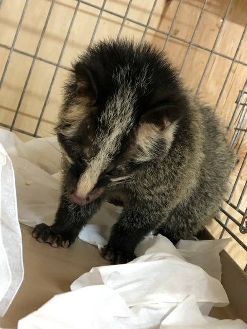 1579681161146-600x800