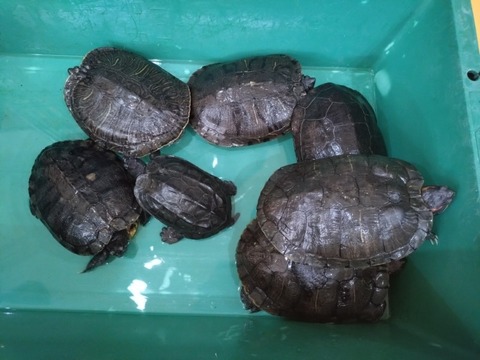 20260223_152617_copy_800x600