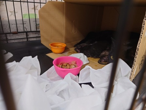 20230302_163431_copy_800x600