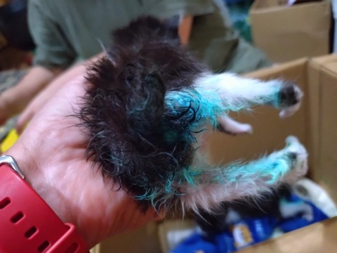 20251020_202637_copy_800x600