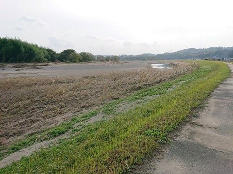 DSC_3436-800x600