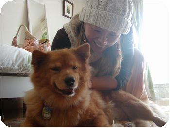 わが家でのんびりハナちゃんご満悦