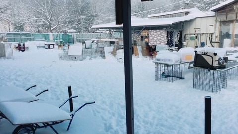 1516663609498-800x450