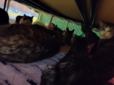 20260116_192519_copy_800x600