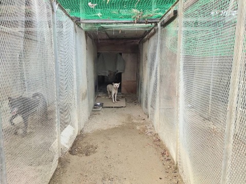 1742368999635_copy_886x664