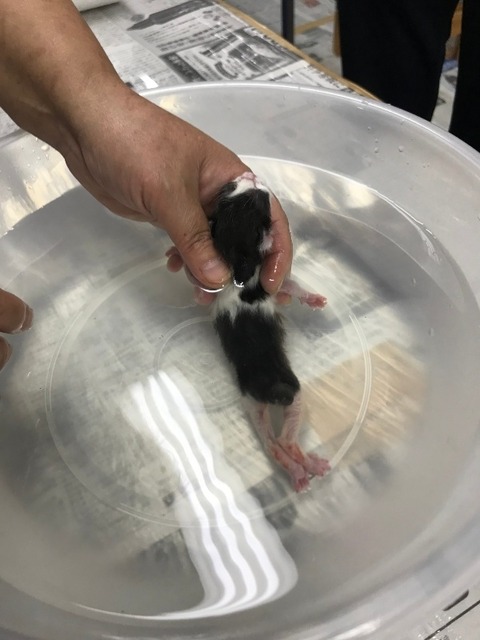 1613738797286_copy_600x800