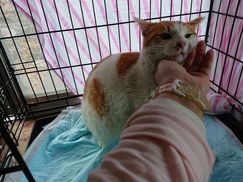 DSC_5407_copy_800x600