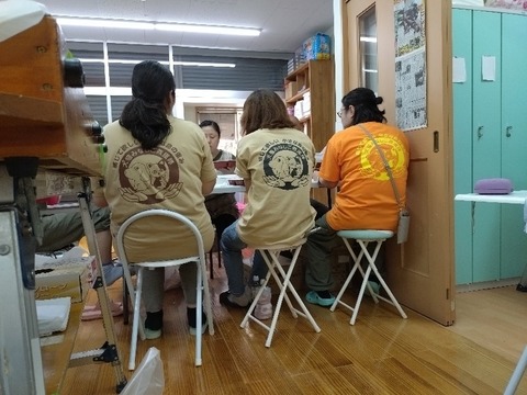 20240808_125045_copy_800x600