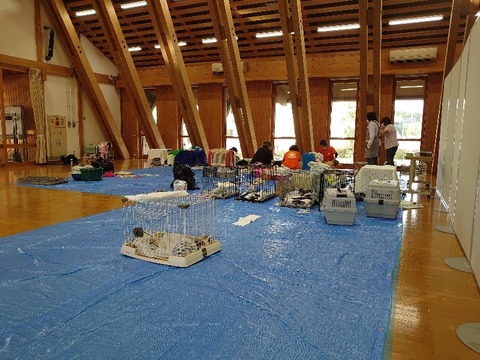 DSC_0022_copy_800x600