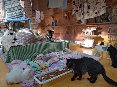 20251223_082335_copy_800x600