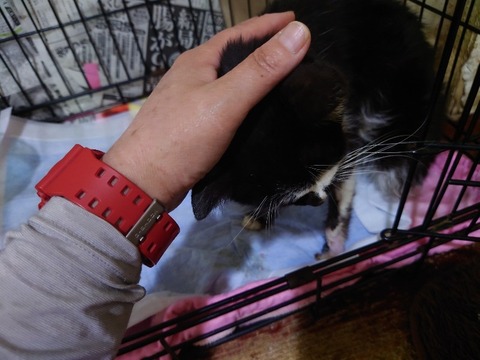 20230223_182721_copy_800x600