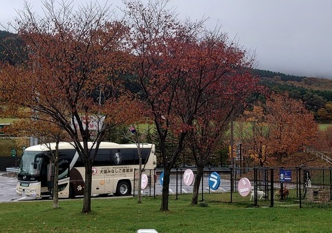 DSC_1000_copy_800x562