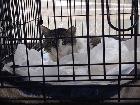 20230223_155811_copy_800x600