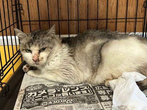 1740657667983_copy_738x554