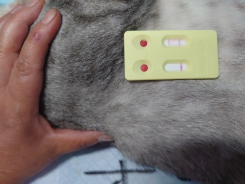 DSC_1298_copy_800x600