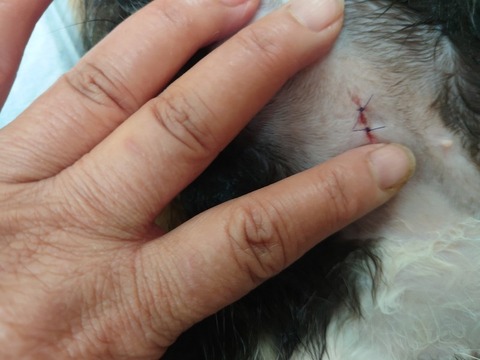 20231116_085537_copy_800x600