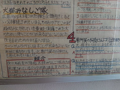 DSC_6241_copy_800x600