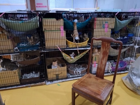 20260130_081015_copy_800x600