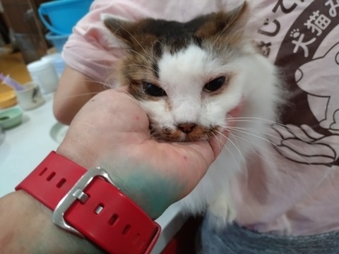 20260223_080225_copy_800x600_copy_800x600