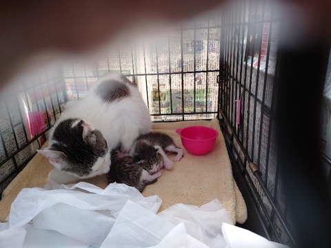 20230404_140631_copy_800x600