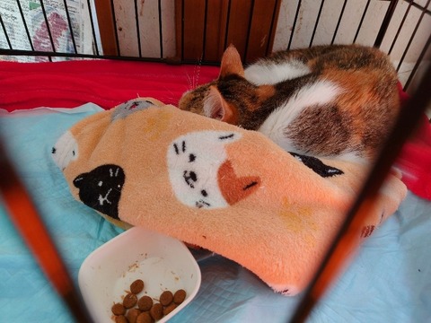 20230228_142613~2_copy_800x600