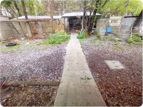 20250424_053111-EDIT