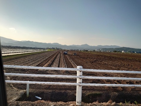 DSC_0306_copy_800x600