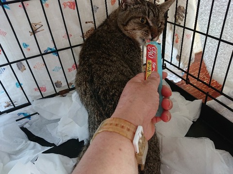 DSC_5429_copy_800x600