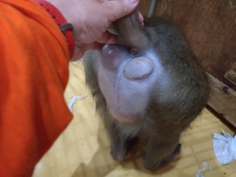 20251214_215147_copy_800x600